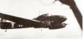 focke-wulf-fw-58-c-6.jpg