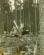 stuka-430928-01a-1.jpg
