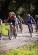 img-7970.jpeg