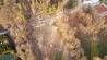 img-20251122-wa0050.jpg
