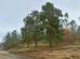 img20251120100354.jpg